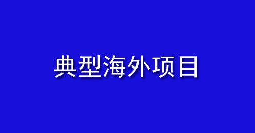 典型海外项目